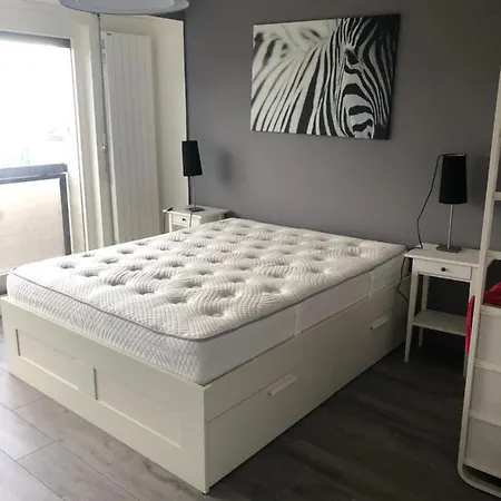 Appartement Next To International Organisations Genève